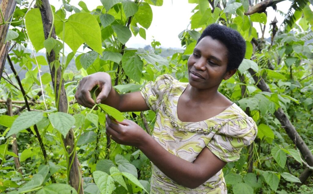 a farmer tends to her crops
